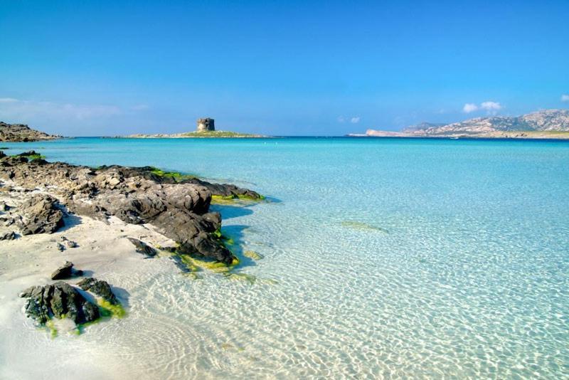 Villa Marci Con Piscina Privata A Nulvi Luaran gambar